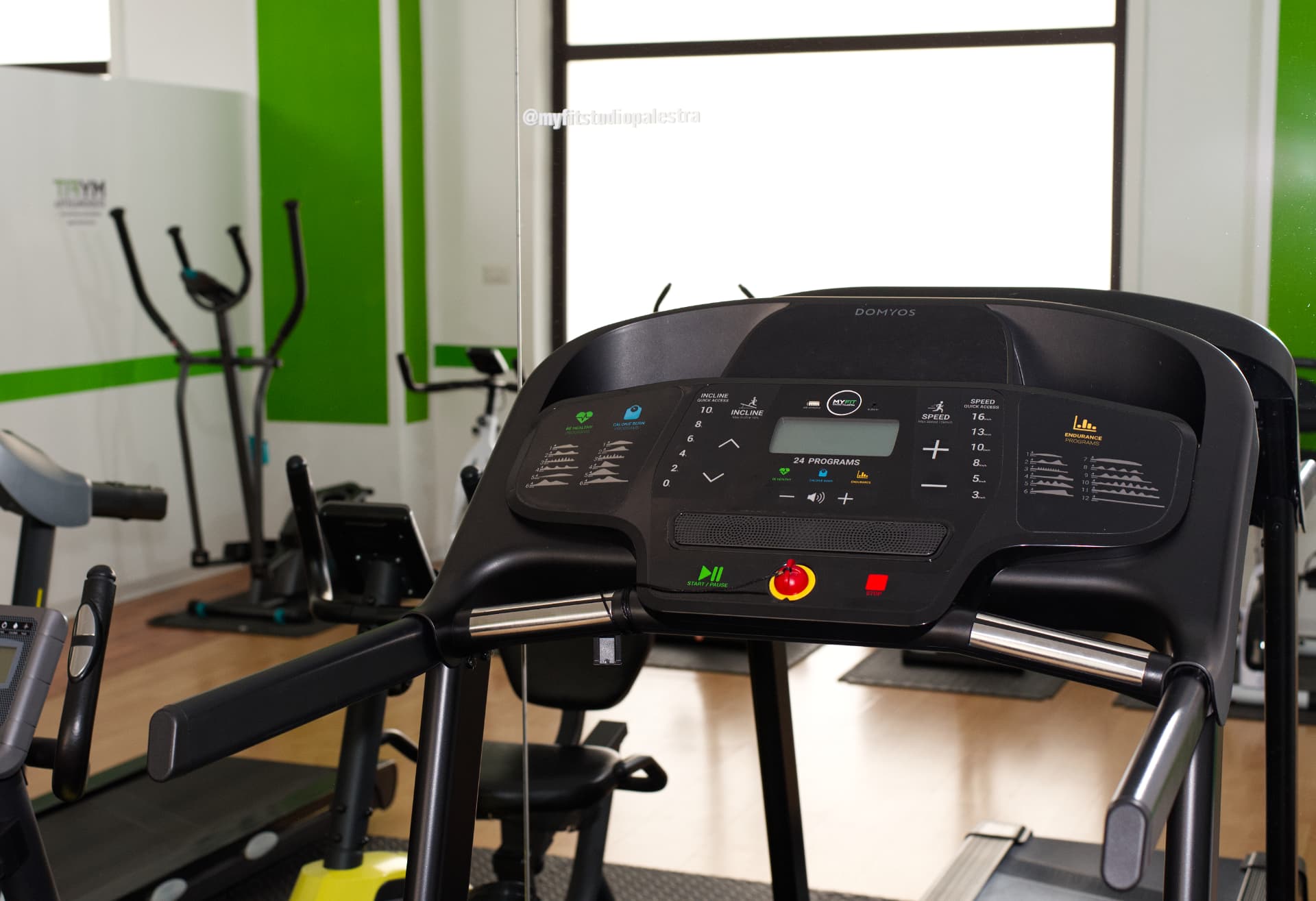 Tapis roulant Domyos nella sala cardio di MYFIT